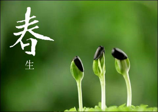 踏青(图1) 踏青(图1)